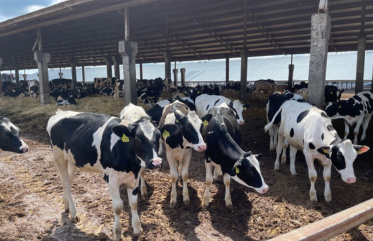 The role of education in breaking the poverty cycle